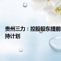 贵州三力:控股股东提前终止减持计划