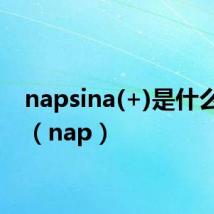 napsina(+)是什么意思(nap)