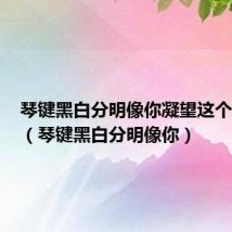 琴键黑白分明像你凝望这个世界的(琴键黑白分明像你)