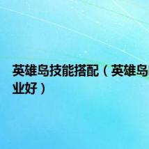 英雄岛技能搭配(英雄岛哪个职业好)