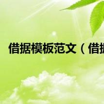 借据模板范文（借据）