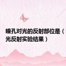 瞳孔对光的反射部位是(瞳孔对光反射实验结果)