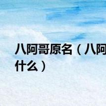 八阿哥原名(八阿哥叫什么)