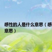 感性的人是什么意思（感性什么意思）