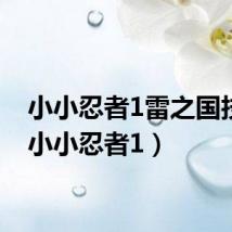 小小忍者1雷之国技能(小小忍者1)