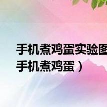 手机煮鸡蛋实验图片(手机煮鸡蛋)