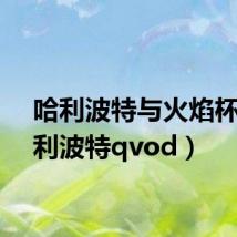 哈利波特与火焰杯(哈利波特qvod)