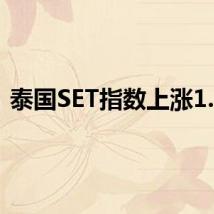 泰国SET指数上涨1.1%