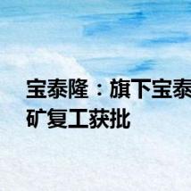 宝泰隆：旗下宝泰隆一矿复工获批