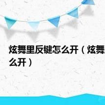 炫舞里反键怎么开（炫舞反键怎么开）