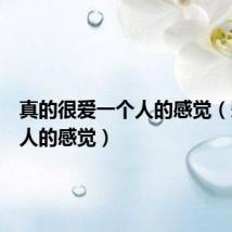 真的很爱一个人的感觉(爱一个人的感觉)