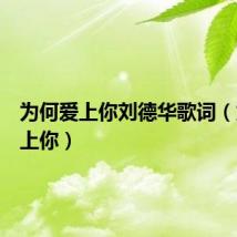 为何爱上你刘德华歌词（为何爱上你）