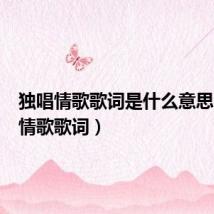 独唱情歌歌词是什么意思(独唱情歌歌词)