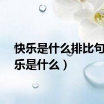 快乐是什么排比句（快乐是什么）