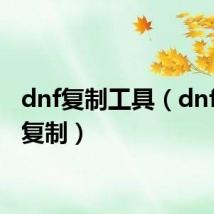 dnf复制工具(dnfpk服复制)