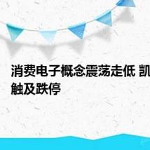 消费电子概念震荡走低 凯盛科技触及跌停