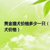 黄金猎犬价格多少一只（黄金猎犬价格）