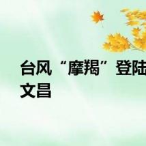台风“摩羯”登陆海南文昌