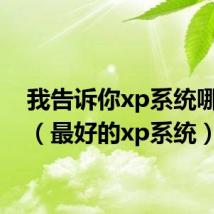 我告诉你xp系统哪个好(最好的xp系统)