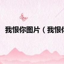 我恨你图片（我恨你）