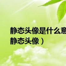 静态头像是什么意思（静态头像）