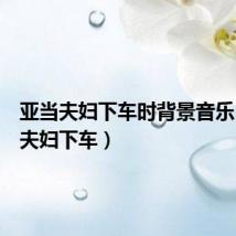 亚当夫妇下车时背景音乐(亚当夫妇下车)
