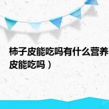 柿子皮能吃吗有什么营养（柿子皮能吃吗）