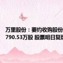 万里股份:要约收购股份总数为790.53万股 股票明日复牌