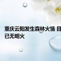 重庆云阳发生森林火情 目前现场已无明火