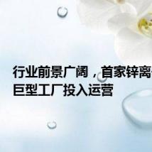 行业前景广阔,首家锌离子电池巨型工厂投入运营