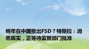 明年在中国推出FSD？特斯拉：消息属实，正等待监管部门批准