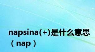napsina(+)是什么意思（nap）