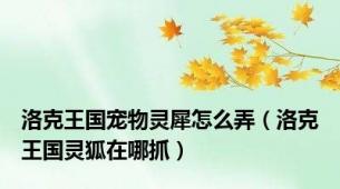 洛克王国宠物灵犀怎么弄（洛克王国灵狐在哪抓）