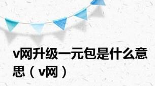 v网升级一元包是什么意思（v网）