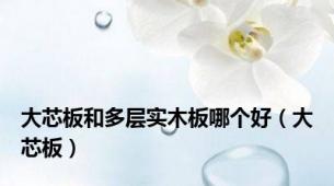 大芯板和多层实木板哪个好（大芯板）