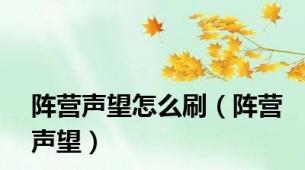阵营声望怎么刷（阵营声望）