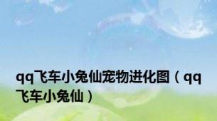 qq飞车小兔仙宠物进化图（qq飞车小兔仙）