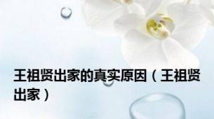 王祖贤出家的真实原因（王祖贤出家）