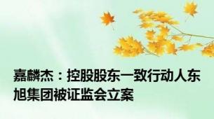 嘉麟杰：控股股东一致行动人东旭集团被证监会立案