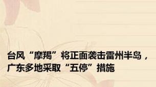台风“摩羯”将正面袭击雷州半岛，广东多地采取“五停”措施