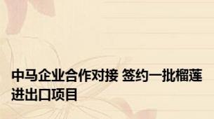 中马企业合作对接 签约一批榴莲进出口项目