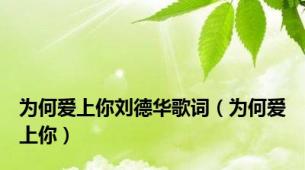 为何爱上你刘德华歌词（为何爱上你）