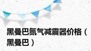 黑曼巴氮气减震器价格（黑曼巴）