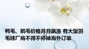 鸭毛、鹅毛价格月月飙涨 有大型羽毛球厂商不得不停掉海外订单