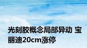 光刻胶概念局部异动 宝丽迪20cm涨停