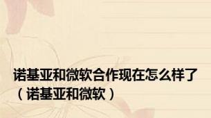 诺基亚和微软合作现在怎么样了（诺基亚和微软）