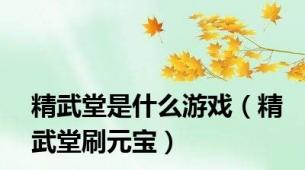 精武堂是什么游戏（精武堂刷元宝）