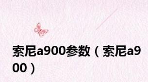 索尼a900参数（索尼a900）