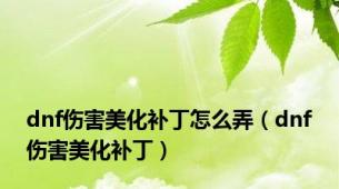 dnf伤害美化补丁怎么弄（dnf伤害美化补丁）
