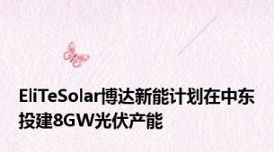 EliTeSolar博达新能计划在中东投建8GW光伏产能